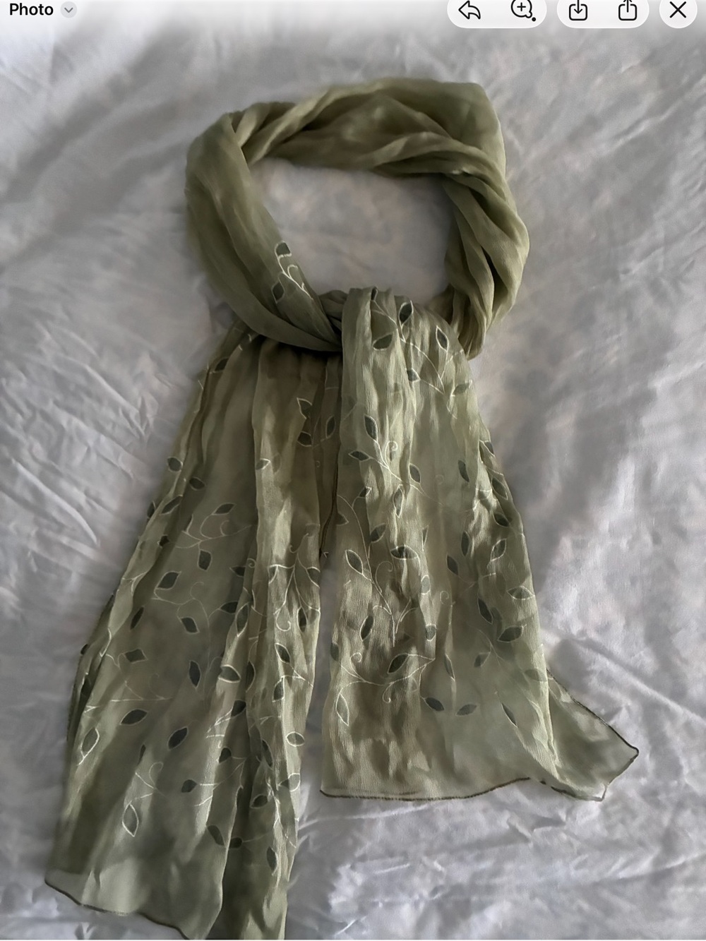 Light Olive Green Women's Scarf